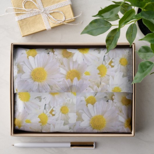 Daisies Decoupage Tissue Paper Seidenpapier (Geschenk)
