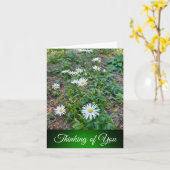 Daisies - Denken Sie an Ihre Karte (Gelbe Blume)