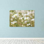 Daisies Field Leinwanddruck (Insitu (Holzboden))