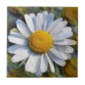 DAISIES FLIESE (Vorderseite)