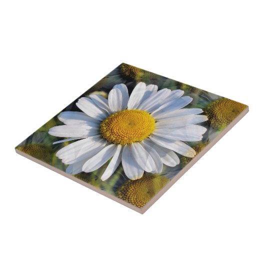 DAISIES FLIESE (Seite)