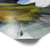 DAISIES FOTODRUCK (Ecke)