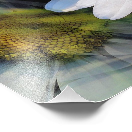 DAISIES FOTODRUCK (Ecke)