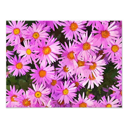 DAISIES FOTODRUCK (Vorne)