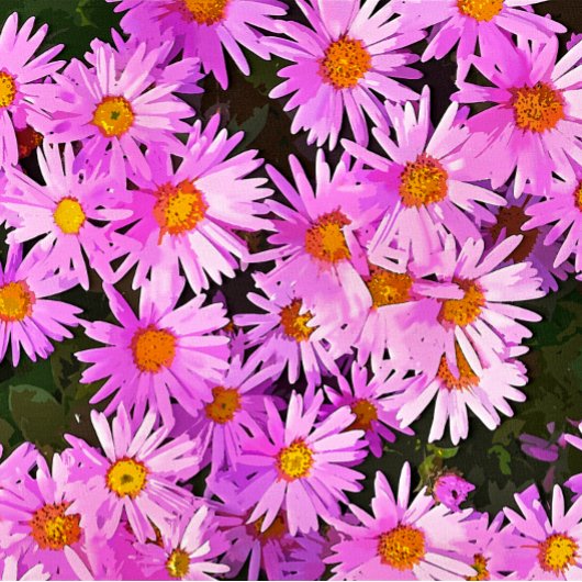 DAISIES FOTODRUCK