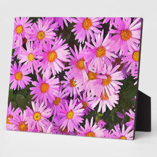 DAISIES FOTOPLATTE