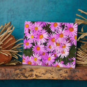 DAISIES FOTOPLATTE (Seite)