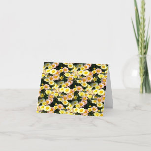 Daisies Galore...... Karte