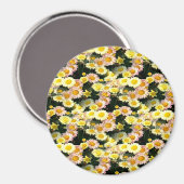 Daisies Galore...... Magnet (Vorderseite/Rückseite)