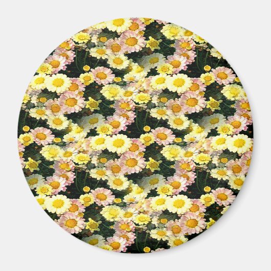 Daisies Galore...... Magnet (Vorne)