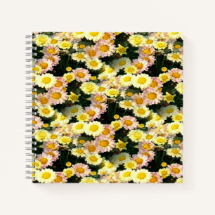 Daisies Galore....... Notizblock