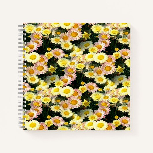 Daisies Galore....... Notizblock (Vorderseite)