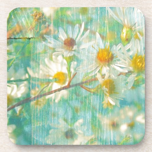Daisies Getränkeuntersetzer (Vorderseite)