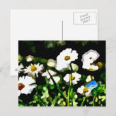 Daisies in der Wiesenmalerei Postkarte (Vorne/Hinten)