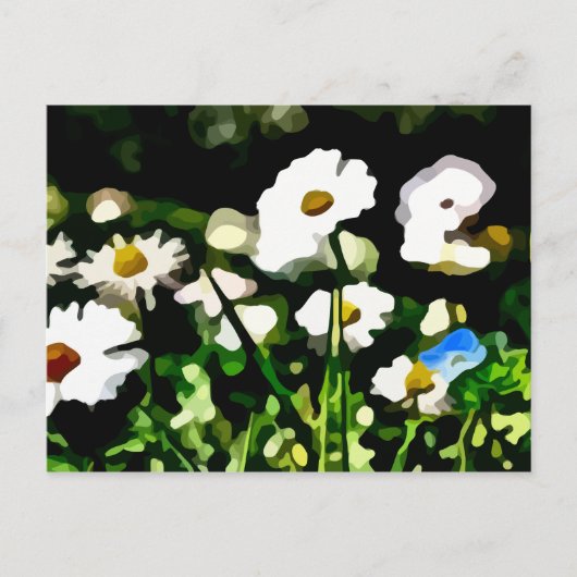 Daisies in der Wiesenmalerei Postkarte (Vorderseite)