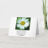 Daisies Karte (Rückseite)