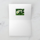 Daisies Karte (Innenseite)