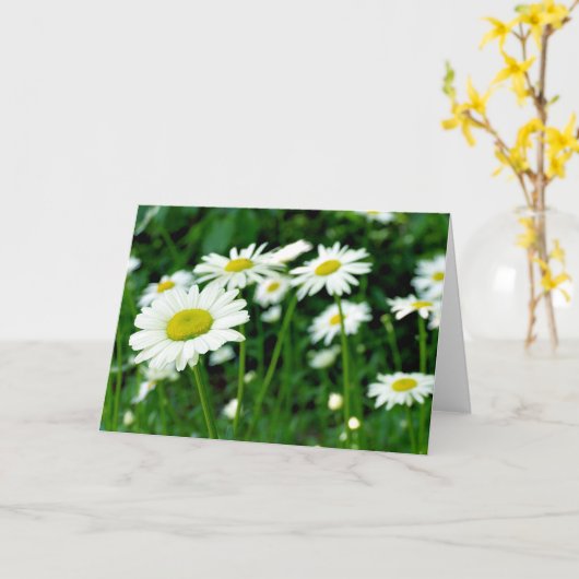 Daisies Karte (Gelbe Blume)
