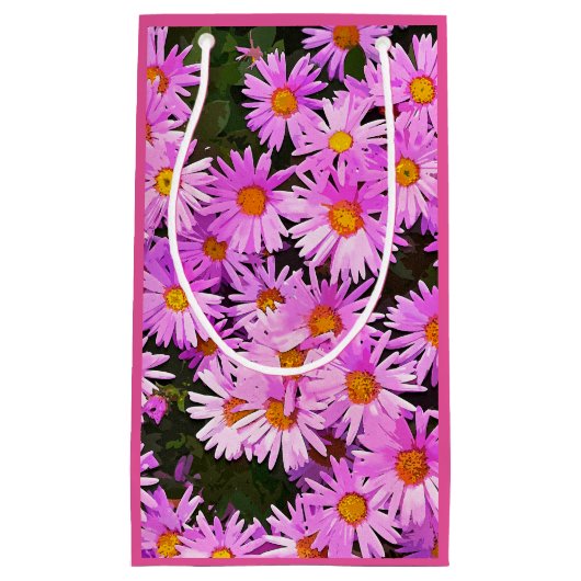 DAISIES KLEINE GESCHENKTÜTE (Vorderseite)