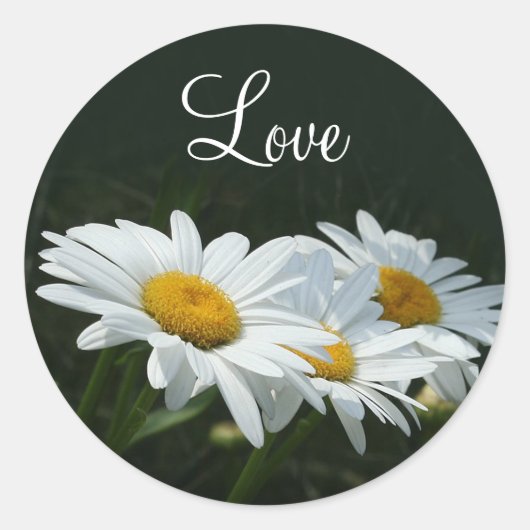 Daisies Liebe Runder Aufkleber (Vorderseite)