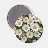 Daisies Magnet (Vorderseite/Rückseite)