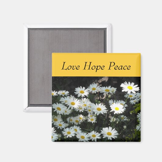 Daisies Magnet (Vorderseite/Rückseite)