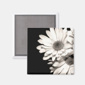 Daisies Magnet (Vorderseite/Rückseite)