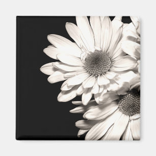 Daisies Magnet