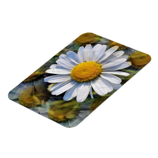 DAISIES MAGNET (Linke Seite)