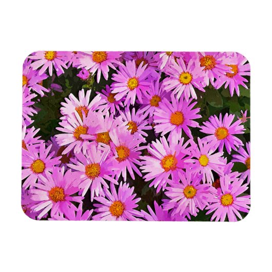 DAISIES MAGNET (Horizontal)
