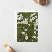 Daisies Mitteilungskarte (Vorderseite/Rückseite Beispiel)