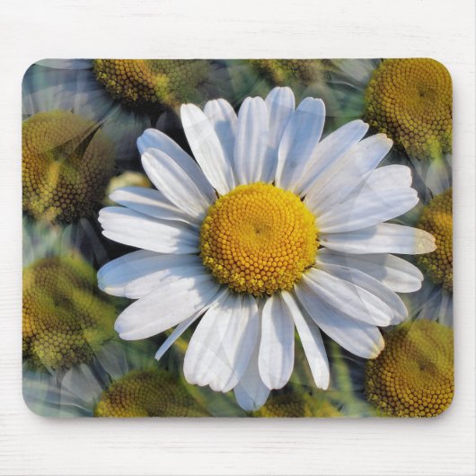 DAISIES MOUSEPAD (Vorne)