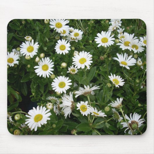 Daisies Mousepad (Vorne)