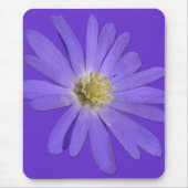 Daisies Mousepad Blue Flowers Computerdekoration (Vorne)