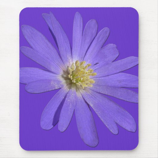 Daisies Mousepad Blue Flowers Computerdekoration (Vorne)