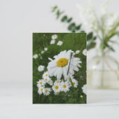 Daisies Nah up & Damselfly DIY Postkarte (Stehend Vorderseite)