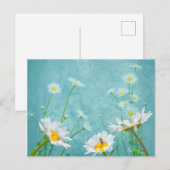 Daisies on a blue background postkarte (Vorne/Hinten)