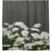 Daisies on Grey Duschvorhang (Vorderseite)