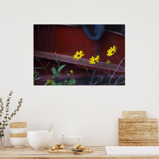 Daisies-on-Red Poster (Küche)