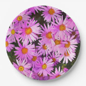 DAISIES PAPPTELLER (Vorderseite)