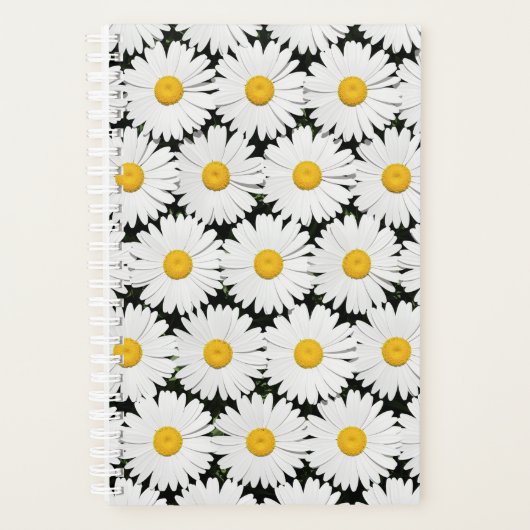 Daisies Planer (Vorderseite)