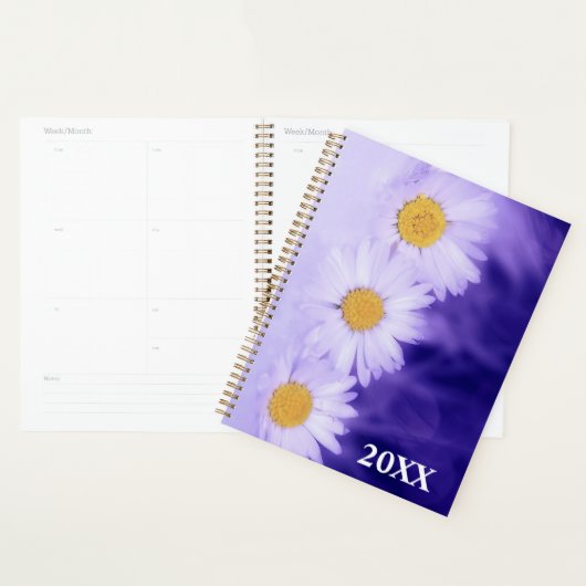 Daisies Planer (Anzeige)