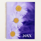 Daisies Planer (Vorderseite)