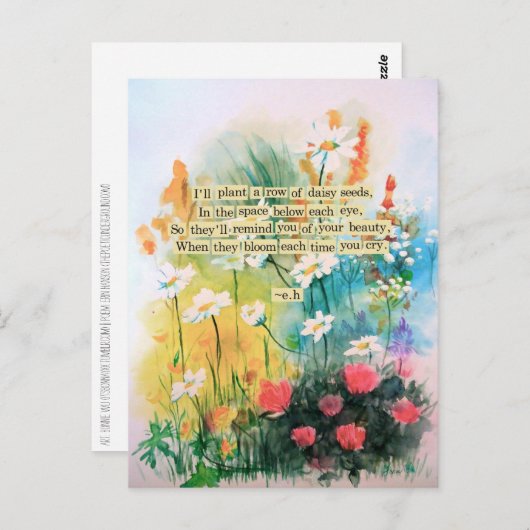 Daisies Postcard Postkarte (Vorne/Hinten)