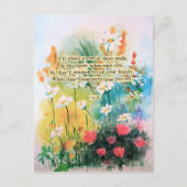 Daisies Postcard Postkarte (Vorderseite)