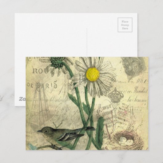 Daisies Postcard Postkarte (Vorne/Hinten)