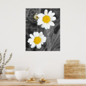 Daisies Poster (Küche)