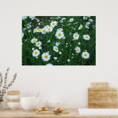 Daisies Poster (Küche)
