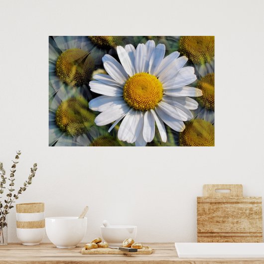 DAISIES POSTER (Küche)