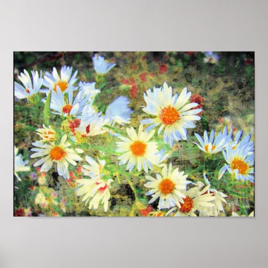 Daisies Poster (Vorne)